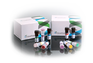 GeneFinder™ DENV/CHKV RealAmp kit