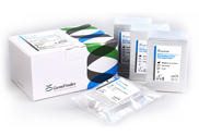 GeneFinder™ Viral DNA/RNA Extraction Kit